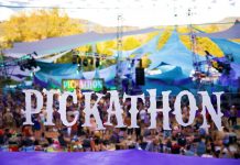 pickathon - music-industry-weekly