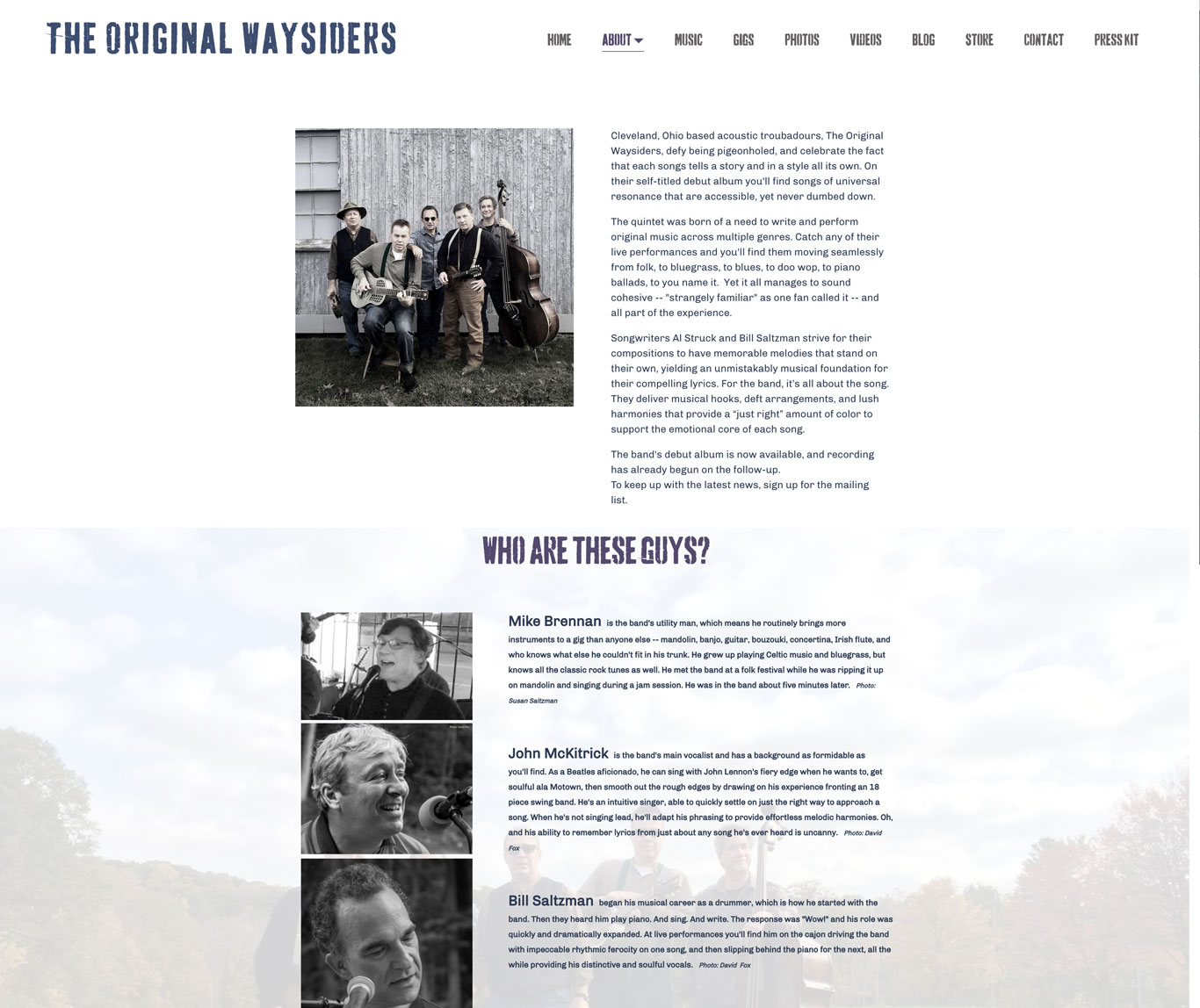 Musician website bio example