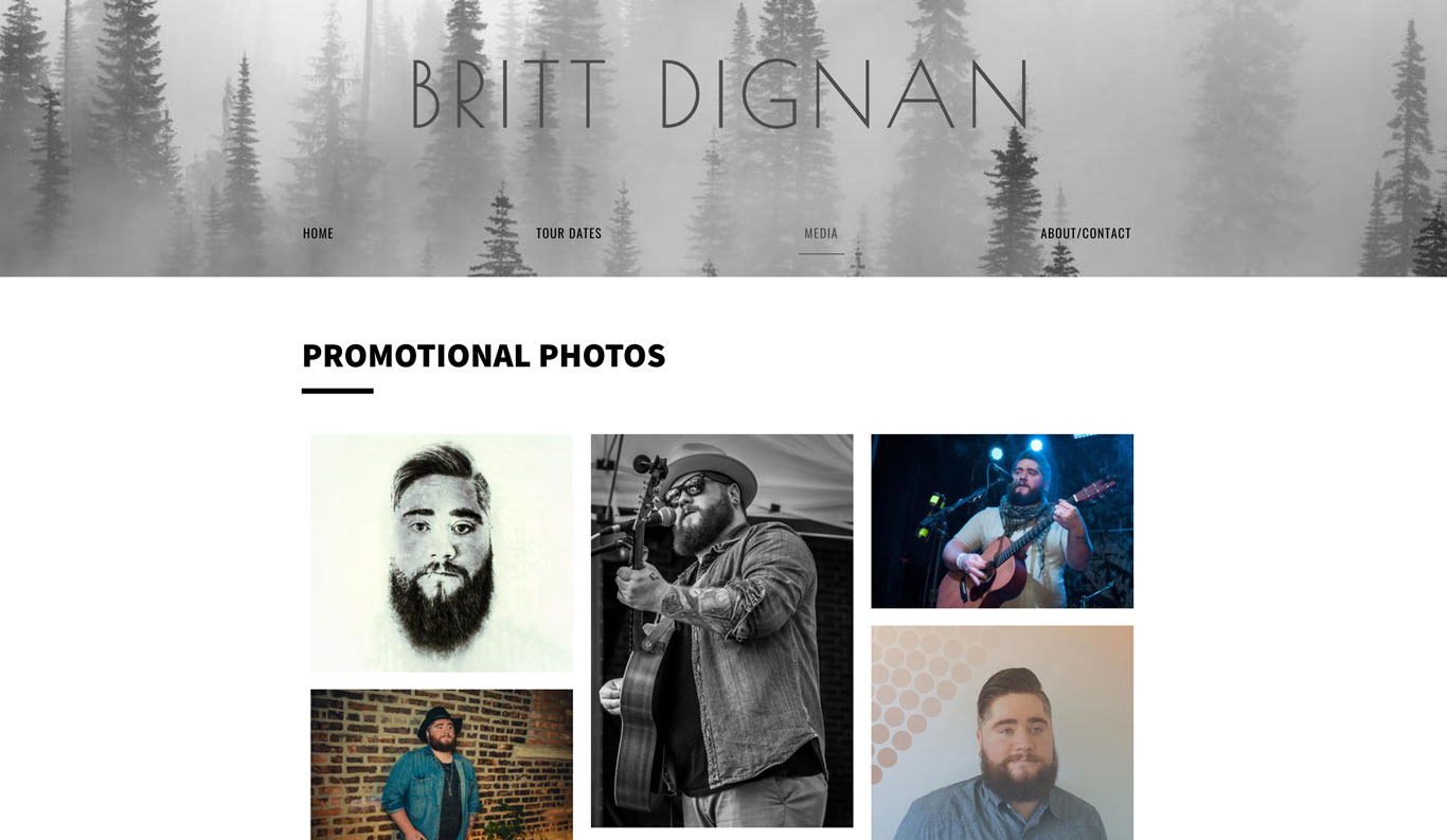 Britt Dignan Singer songwriter Website Design