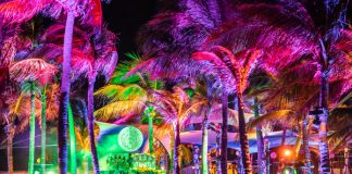 DEJA VOOM 2020 - Cancun, MO - Bassnectar - Music Industry Weekly