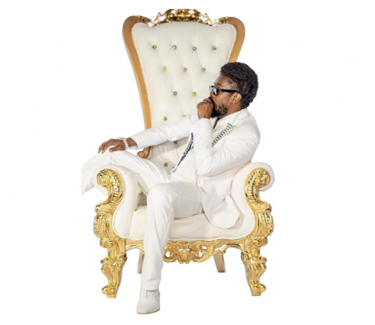 NeverLeveled LLC and The Reggae Hub to Bring Beenie Man Live on NeverLeveled TV Screen Shot 2020-07-07 at 9.30.58 am