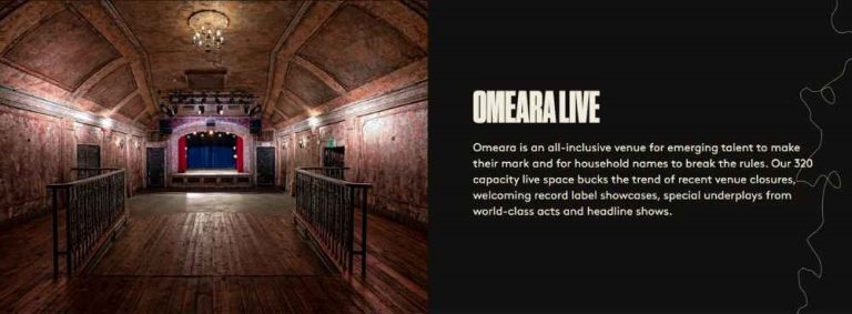 Emerging artist performing at a small, intimate venue, representing the crucial role these spaces play in launching music careers.