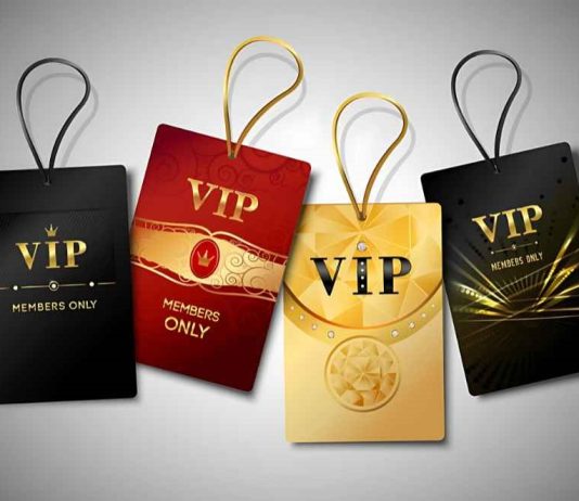 Festival Culture: Are VIP Tickets and Exclusive Experiences Dividing Fans? VIP section at a music festival, offering exclusive perks and shaded seating